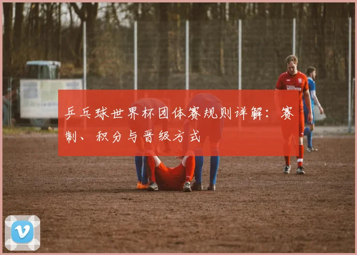 乒乓球世界杯团体赛规则详解:赛制、积分与晋级方式